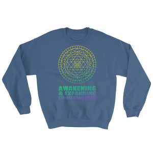 Awakening & Expanding Consciousness Sweatshirt