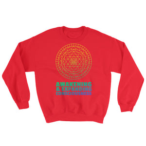Awakening & Expanding Consciousness Sweatshirt